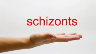 How to Pronounce schizonts  American English [upl. by Moriah828]