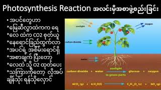 G11ChemistryChapter15Part1 [upl. by Noakes]