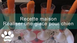 Glace pour chien maison  Assur OPoil [upl. by Reklaw]