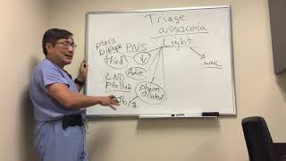 How to Triage Anisocoria [upl. by Camellia]