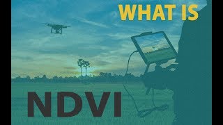 What is NDVI and how can you benefit [upl. by Anairotciv]