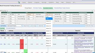 Premarket Stock Scanner [upl. by Esiole23]