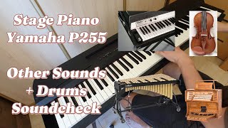 Stage Piano Yamaha P255 Other Sounds Bright Mellow Piano El Piano Organ Strings and Drum Pattern [upl. by Prunella]