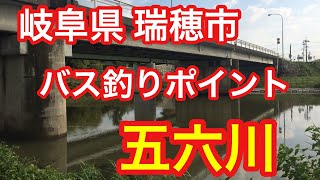 五六川 岐阜県 バス釣りポイント ブラックバス [upl. by Mateya]