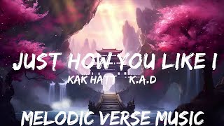 KAK HATT amp KAD  Just How You Like It Lyrics  25mins  Feeling your music [upl. by Narok]