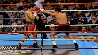 WOW WHAT A FIGHT  Oscar De La Hoya vs Luis Ramon Campas Full HD Highlights [upl. by Aliza]