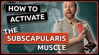 How to ACTIVATE The SUBSCAPULARIS Muscle [upl. by Sibell]