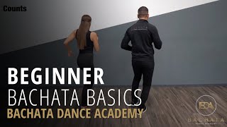 Bachata Beginner Basic Steps Tutorial  Demetrio amp Nicole  Bachata Dance Academy [upl. by Rema]