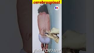 Cerebrospinal fluid csf medicineknowledgehindi biology shorts [upl. by Dalila]