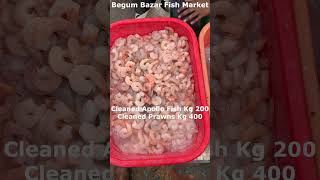 Cleaned Apollo Fish Kg 200 amp Cleaned Prawns Kg 400  Begum Bazar Fish Market fish viral shorts [upl. by Gerti]