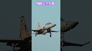 Tiger老虎F5F｜Classic經典｜🇹🇼｜f5 shorts fighters jets taiwan military jets aircraft 飛行機 army [upl. by Beverie942]