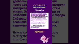 АНГЛИЙСКИЙ значение слов sybarite vocabulary english английский [upl. by Shulem]