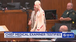 Chief medical examiner testifies in Sean Finnegan [upl. by Maryjo]