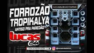 SET FORRÓ ANTIGO TROPICÁLIA SÓ AS MELHORES DJ CARLOS DE ITAPUÁ 🎧💻🎧 [upl. by Sibley150]