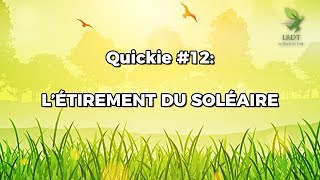 Étirement du Soléaire  Quickie 12 [upl. by Schreib]