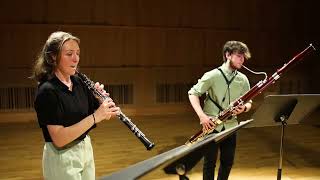 Wind Trio Clarinet Oboe and Bassoon  Under The Sea [upl. by Ecertak993]