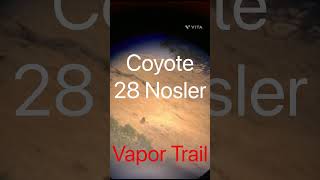 Coyote Hunt  Caza de Coyote coyote shorts mexico usa fyp snipers asmr caza hunting [upl. by Nyrol192]