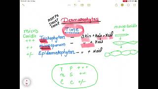 Mnemonic on dermatophytesinicet neet mbbs fmge [upl. by Walther]