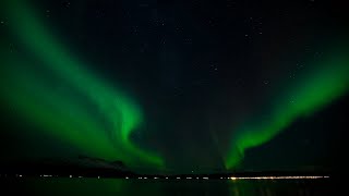 🔴10 HOURS Aurora Borealis Green Northern Lights Relaxation binaural Sleep study relaxing music🔴 [upl. by Eidoc]