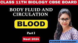 Blood and its Components Plasma  Body fluid and circulation  Class 11  Neet 2024 [upl. by Aniaj]