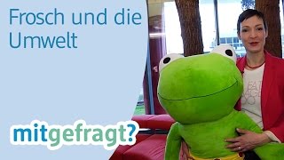 Fliesen reinigen mit Frosch Reiniger in BioQualität  dm mitgefragt Folge 43 [upl. by Adnoval]