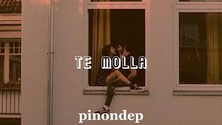 Te molla  ARNON ft Killua sped up [upl. by Ettenal]