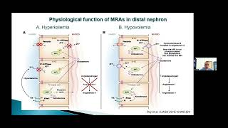 Sarafidis P Finerenone in Kidney Disease and Type 2 Diabetes [upl. by Raynell]