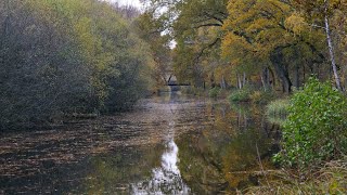 Basingstoke Canal Walk November 2020 [upl. by Inanuah]