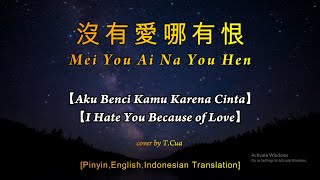 Mei You Ai Na You Hen 沒有愛哪有恨【王杰 Wang Jie】【Aku Benci Kamu Karena CintaI Hate You Because of Love】 [upl. by Yhtomit]