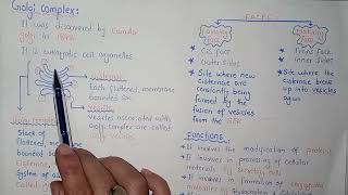 Golgi Complex Structure And Functions  Federal And KPK Board  Class 11 Biology [upl. by Helve]