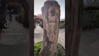 Blackpool Zoo Part 1 blackpoolzoo zoo halloween tourism uk blackpool shorts [upl. by Noivad869]