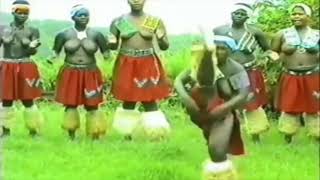 South Africa Zululand Zulu dancing [upl. by Enileda496]