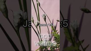 James 15 Seek God for wisdom bibleverse [upl. by Dnarud]