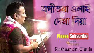 new assamese songs 2019  krishnamoni chutia bogitora ulai dekha dea [upl. by Juna]