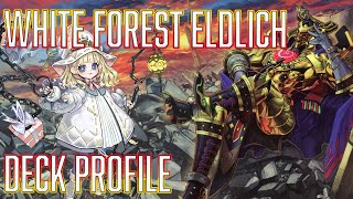 YUGIOH White Forest Eldlich Deck Profile [upl. by Henarat]