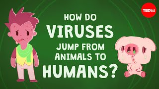 How do viruses jump from animals to humans  Ben Longdon [upl. by Ynnad470]