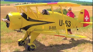 BIGGEST 53 m Jungmeister Aerobatic Biplane Model 1125 Scale [upl. by Lehcer128]