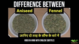 Difference between Aniseed and Fennel  Sauf  दो तरह के सौंफ पतली और मोटी सौफ  Everyday Life 81 [upl. by Tacye]