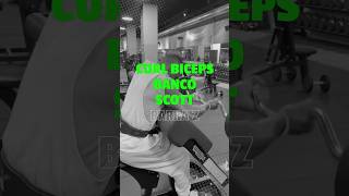 CURL BICEPS BANCO SCOTT BARRA Z HOMBRE Tutorial GYM [upl. by Chor]