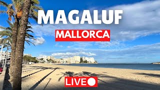 🔴 LIVE in Magaluf Mallorca Majorca  10 December 2023 [upl. by Ganny]