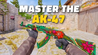 CS2 Weapon Guide AK47 [upl. by Cida113]