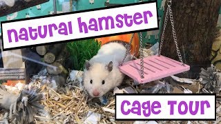 Natural Hamster Cage Tour  IKEA Detolf Woodland Theme [upl. by Hailey80]