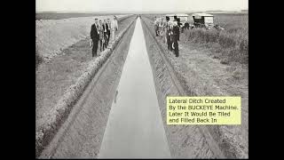 History of Hollandale MN Freeborn CountyTurtle Creek Watershed District [upl. by Herbst]