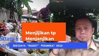 Jijik tapi Menjanjikan Perangkat Desa Ternak Maggot BSF [upl. by Evan]