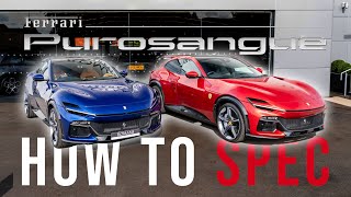 How To Spec Ferrari Purosangue [upl. by Anegroeg164]