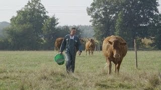 Interview Métiers  Frédéric éleveur de bovins [upl. by Naujyt]