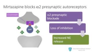 Mirtazapine From Mechanism to Clinical Applications [upl. by Afatsum720]