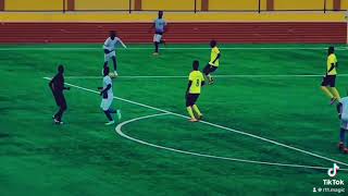 CESARIO  🇧🇯 winger Action [upl. by Meris881]