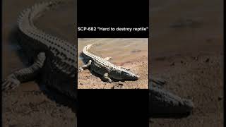 SCP682 quotHard to destroy reptilequot short scpfundation [upl. by Duile]