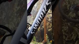 2019 SWorks Turbo Levo [upl. by Rotce]